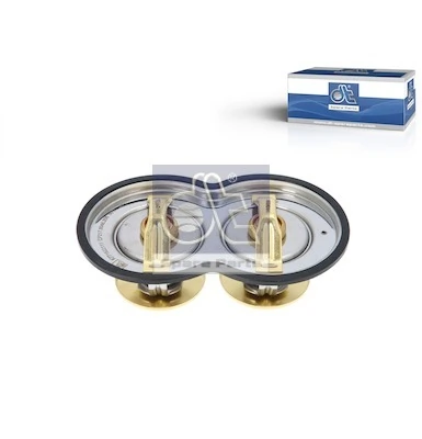 Thermostat, coolant